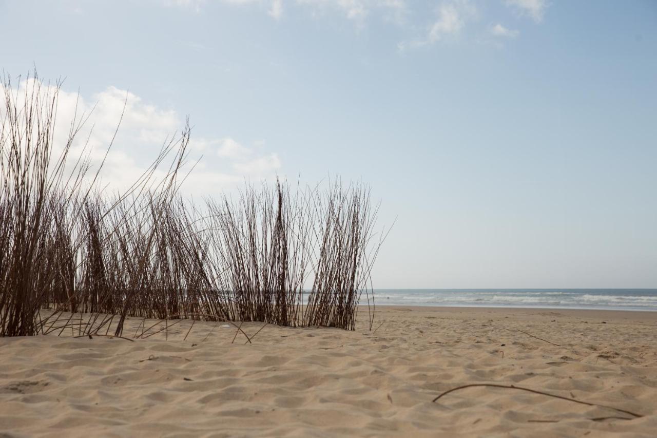 Apartment Apartamento Coquina Mrz Barbate